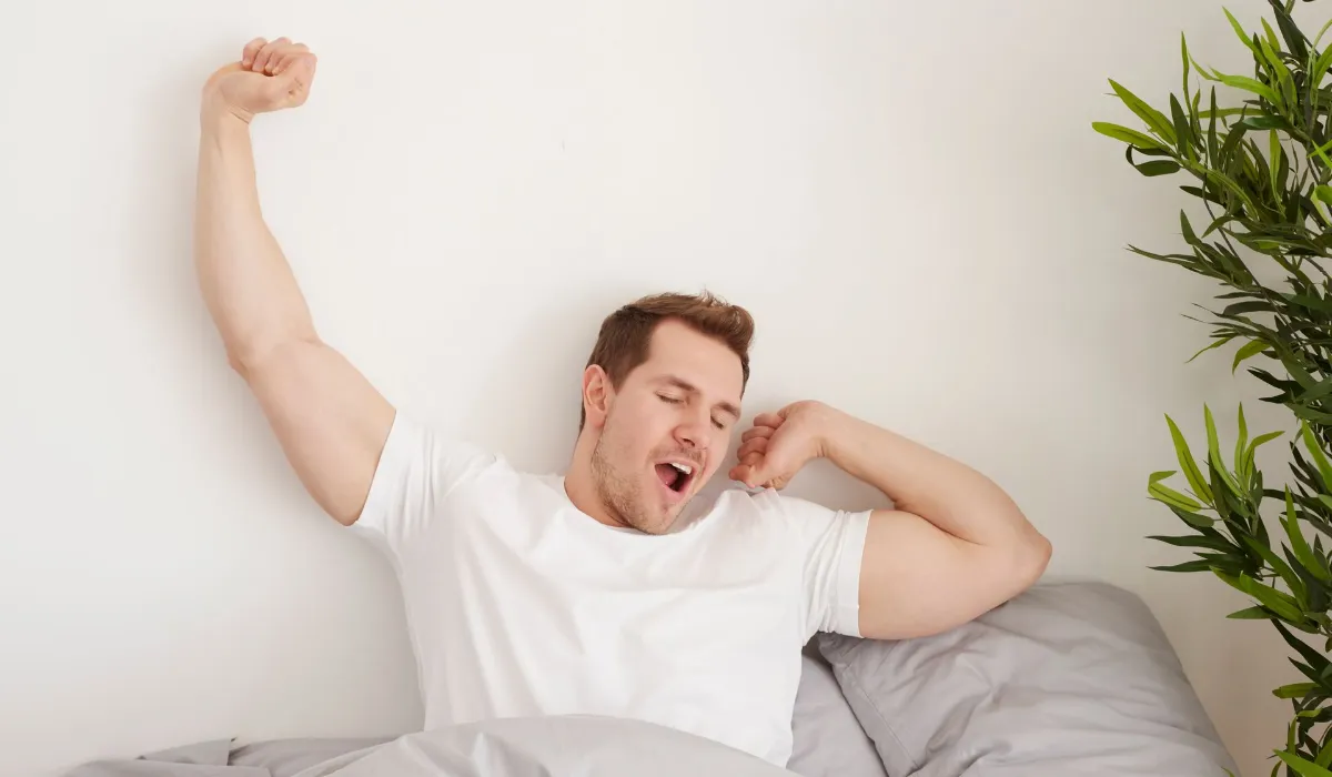 Sleep's impact on testosterone and immunity
